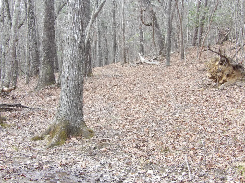 Camp Creek Road Spencer, TN 38585