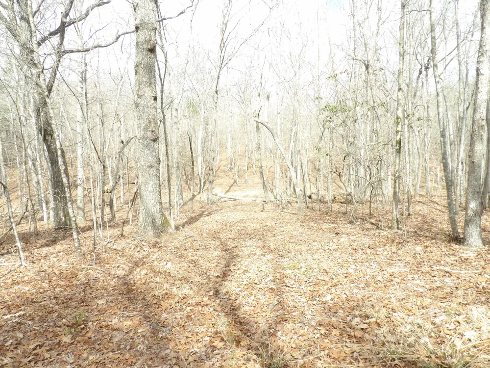 Camp Creek Road Spencer, TN 38585