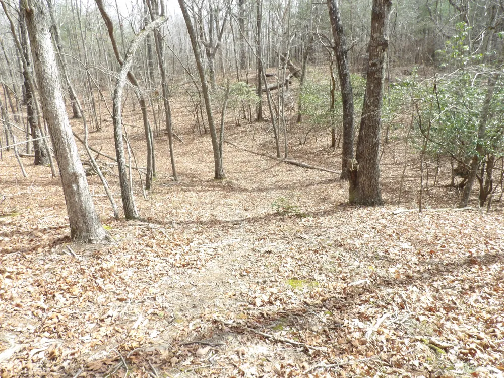 Camp Creek Road Spencer, TN 38585