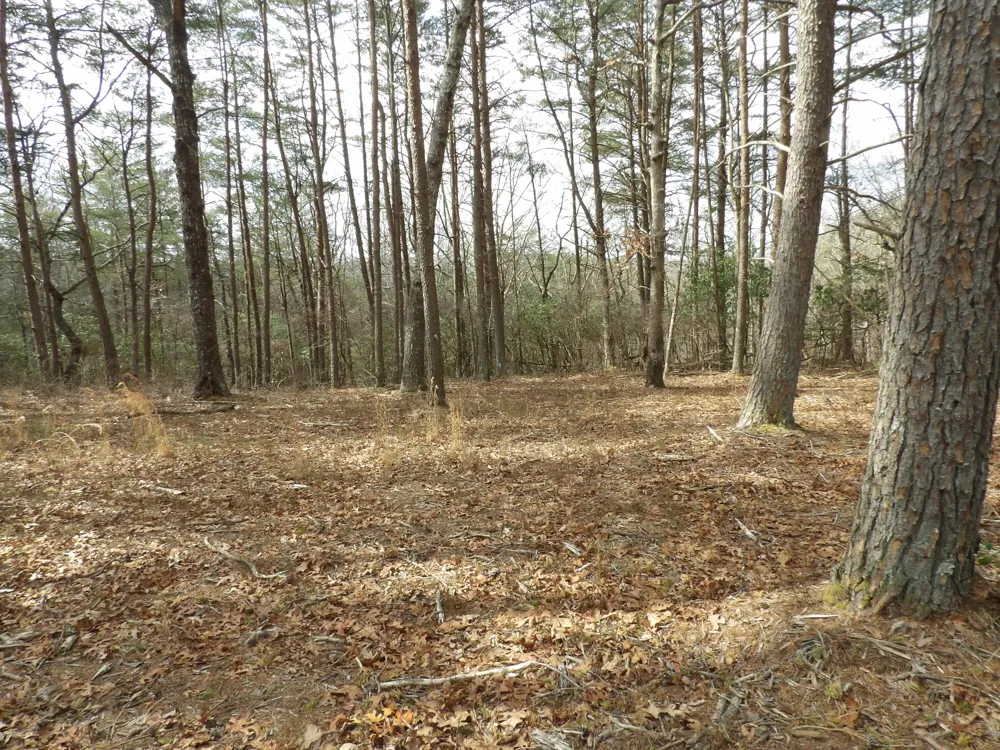 Camp Creek Road Spencer, TN 38585
