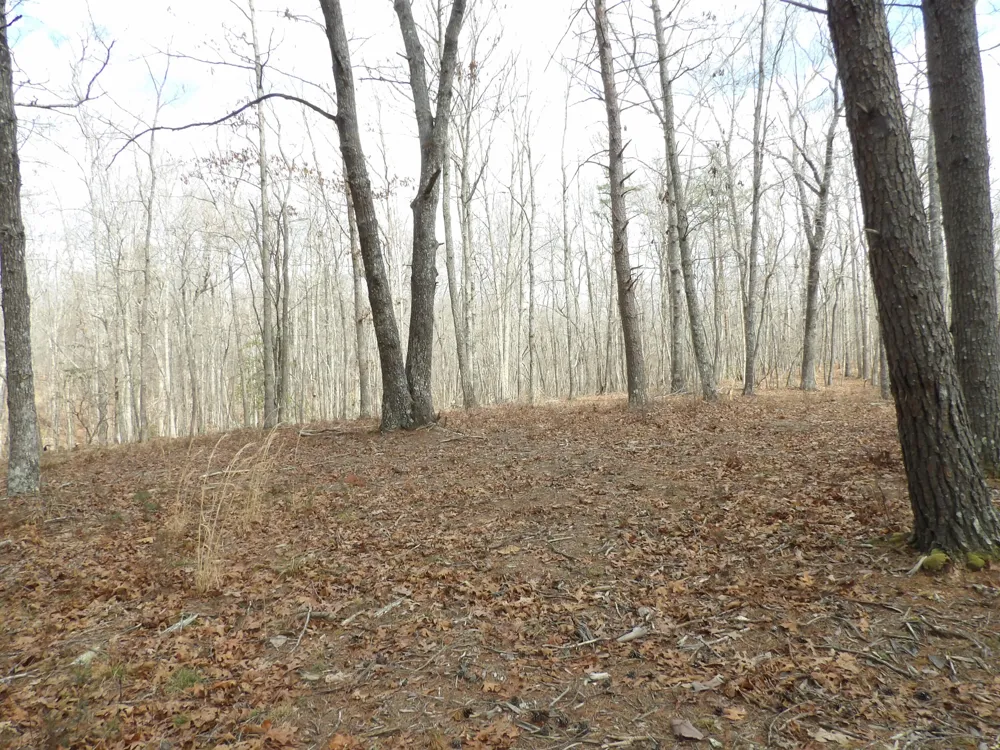 Camp Creek Road Spencer, TN 38585