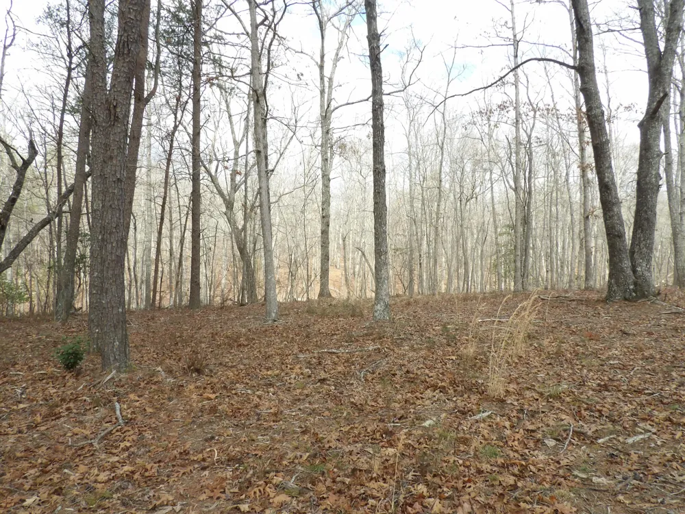 Camp Creek Road Spencer, TN 38585