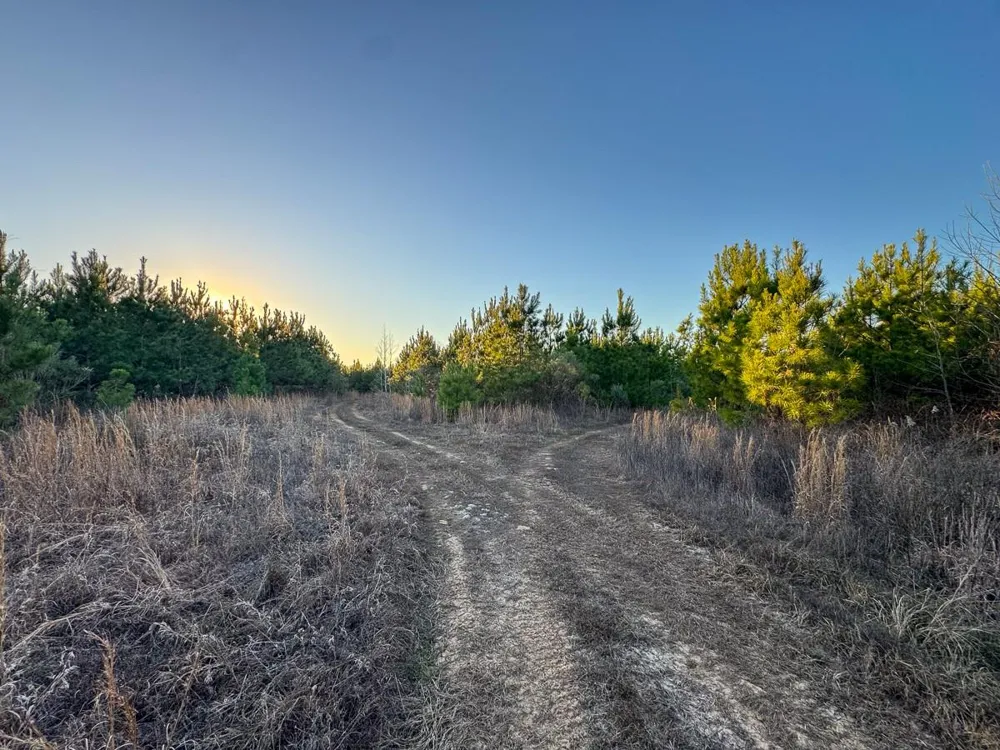 6 Cr 4415 Annona, TX 75559