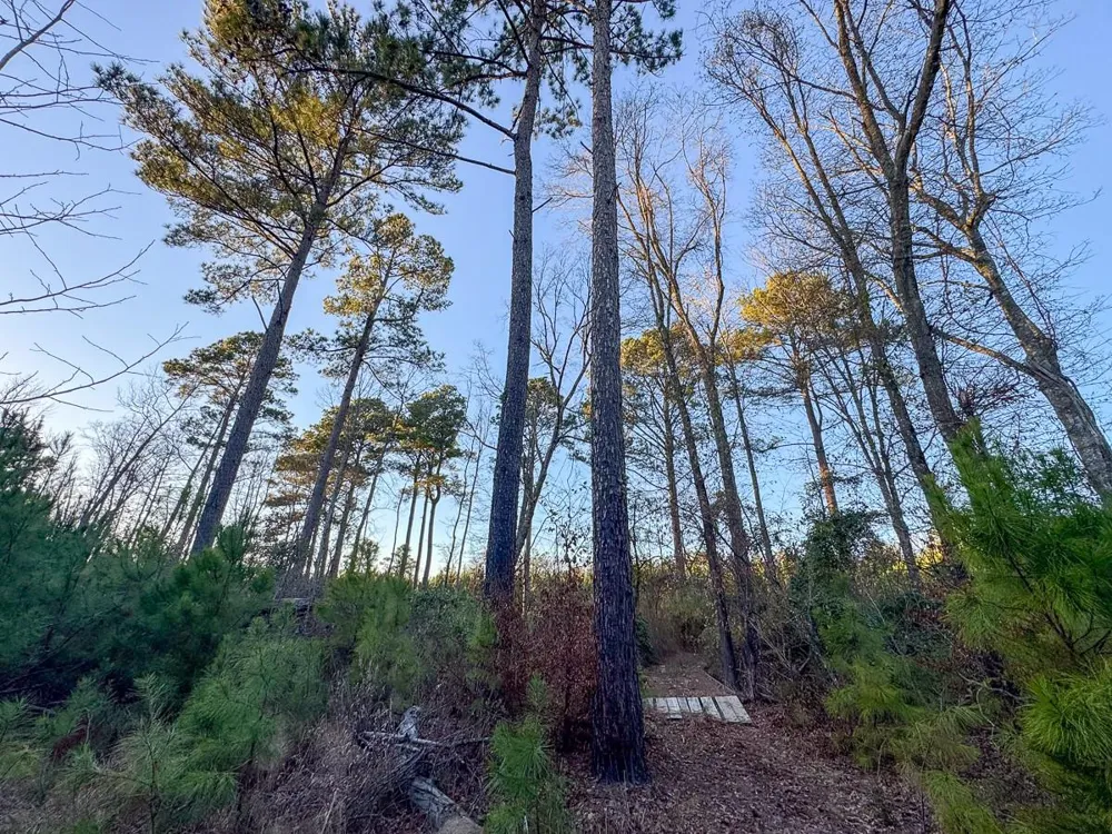 6 Cr 4415 Annona, TX 75559