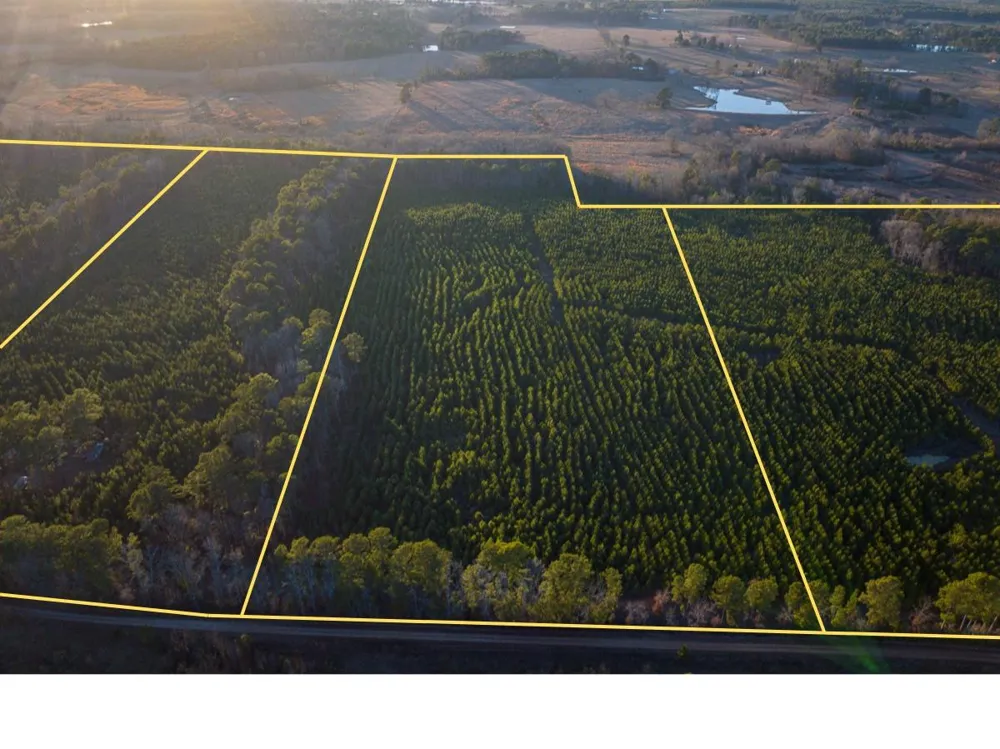 6 Cr 4415 Annona, TX 75559