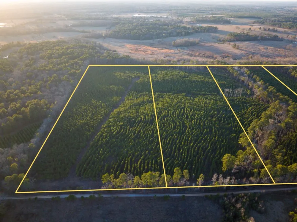 6 Cr 4415 Annona, TX 75559