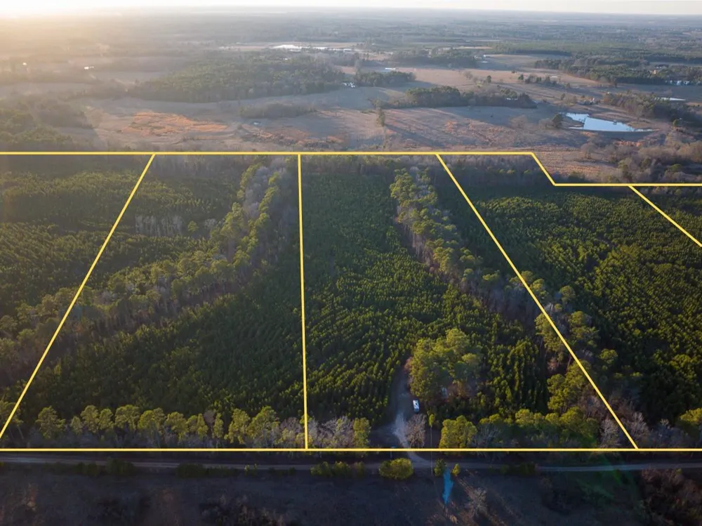 6 Cr 4415 Annona, TX 75559