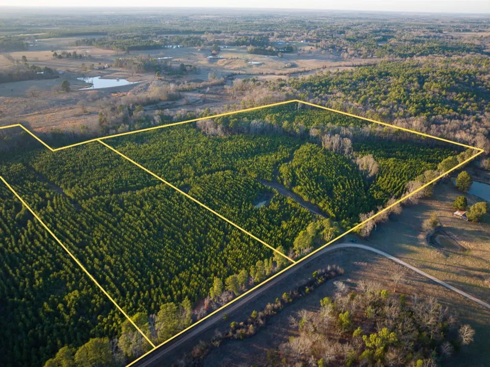6 Cr 4415 Annona, TX 75559