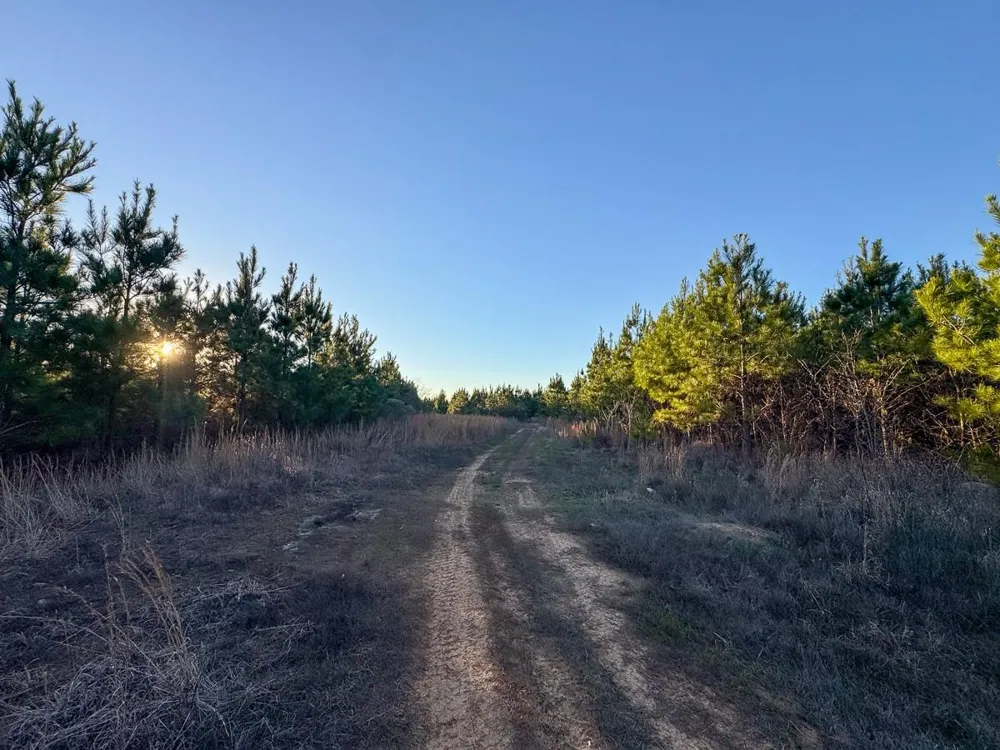 6 Cr 4415 Annona, TX 75559