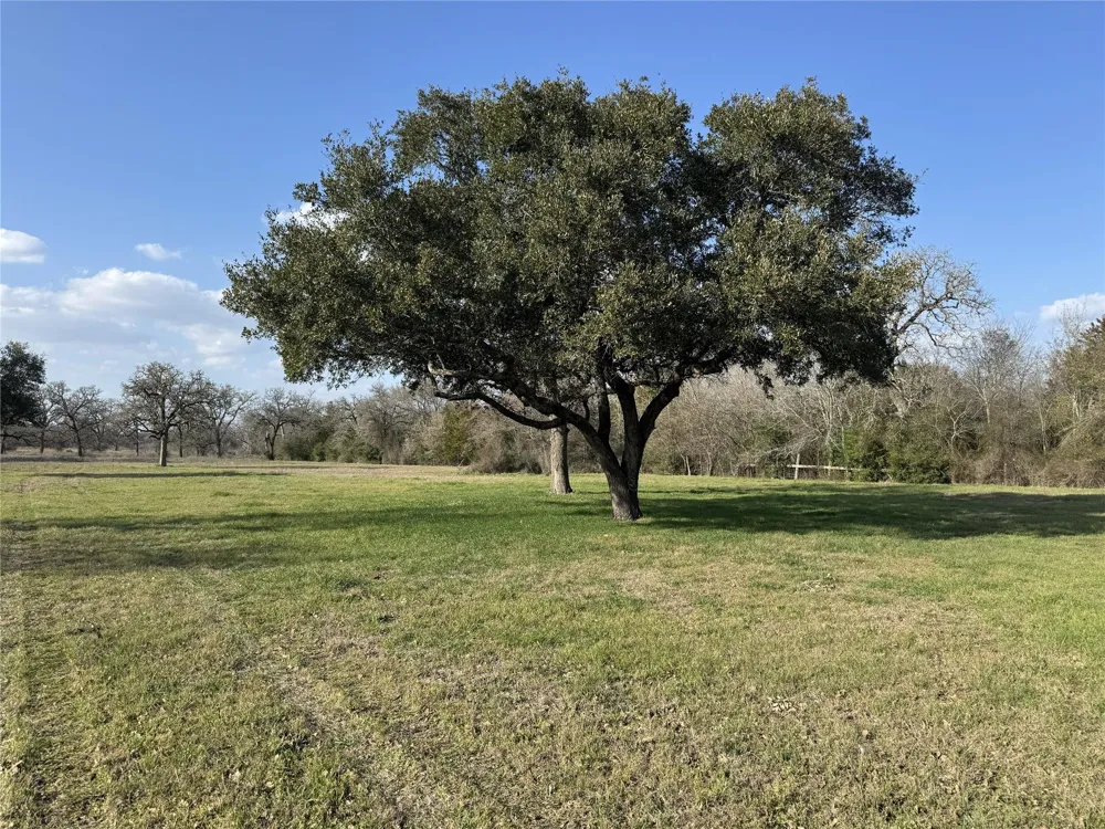 Lewis Road Burton, TX 77835