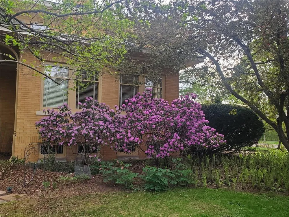 707 W Columbia Street Chippewa Falls, WI 54729
