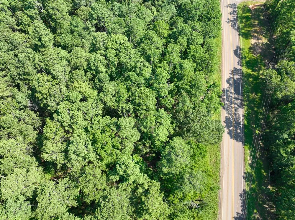 2 Highway 87 Milam, TX 75959