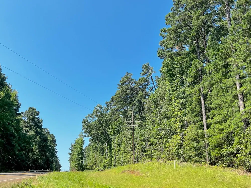 2 Highway 87 Milam, TX 75959