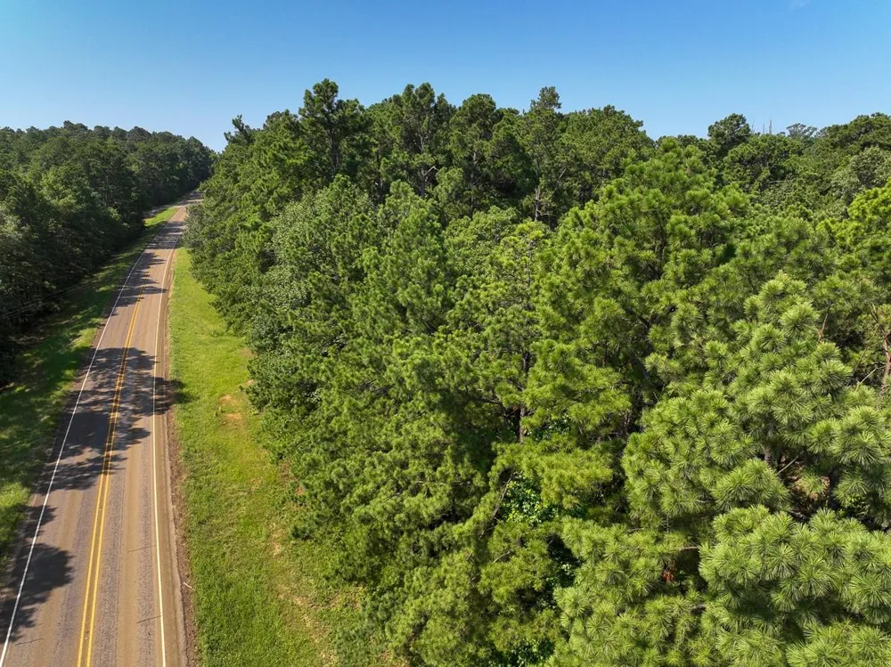 2 Highway 87 Milam, TX 75959