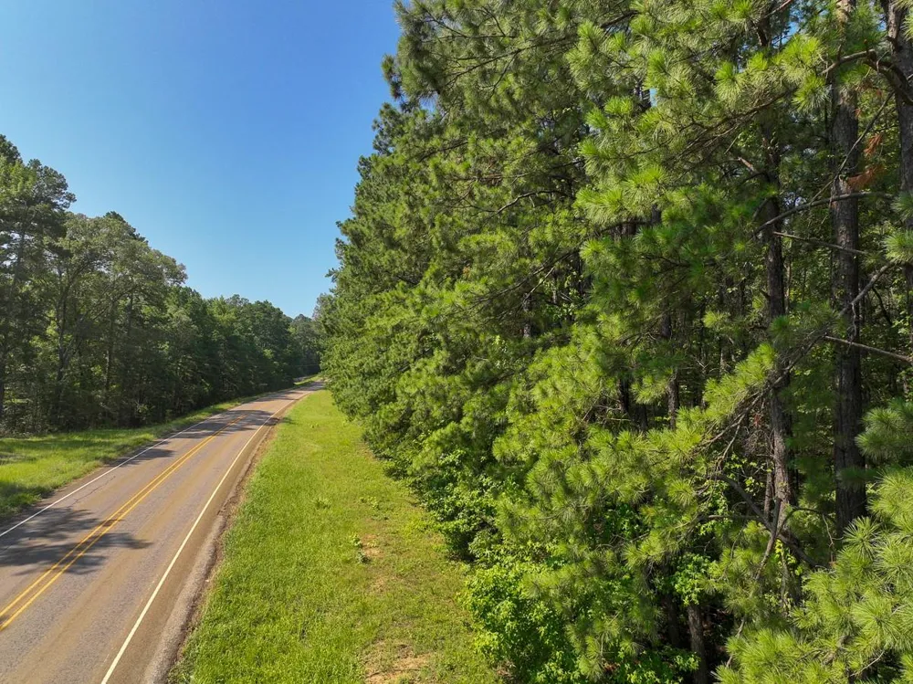 2 Highway 87 Milam, TX 75959