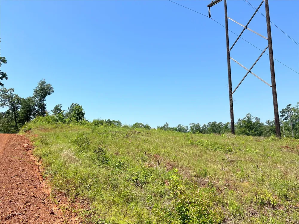 4 Carters Ferry Road Milam, TX 75959