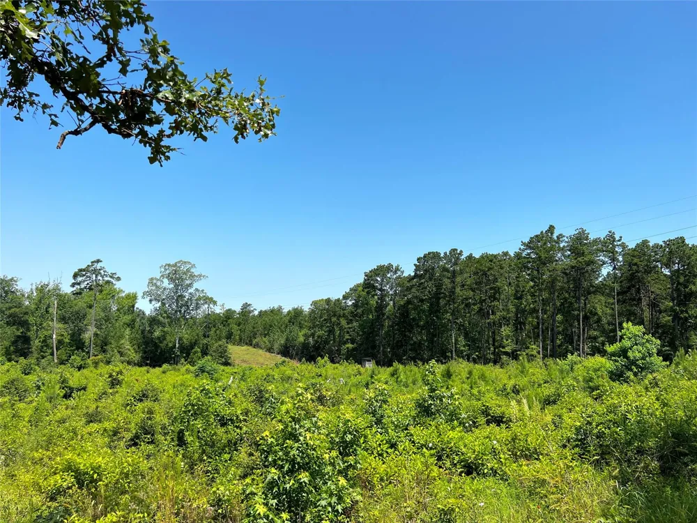 4 Carters Ferry Road Milam, TX 75959