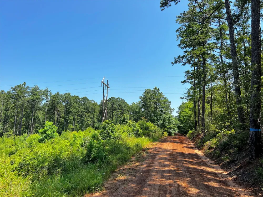 4 Carters Ferry Road Milam, TX 75959