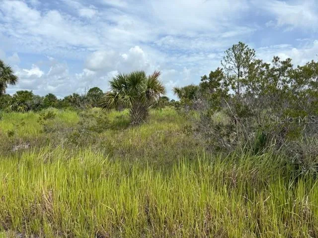 2239 UTOPIA AVENUE SW Palm Bay, FL 32908