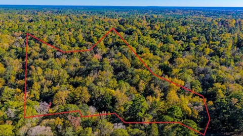 Rolling Ridge Road
