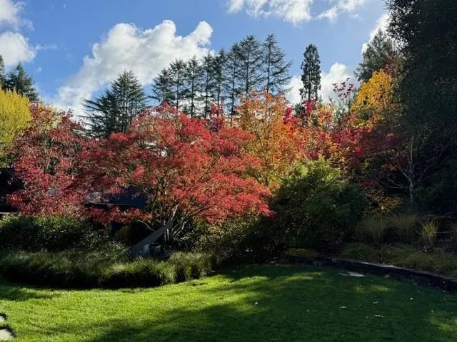 160 Phillip Road Woodside, CA 94062