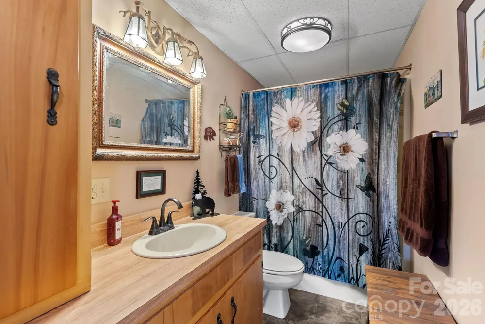 60 Little Creek Drive Canton, NC 28716
