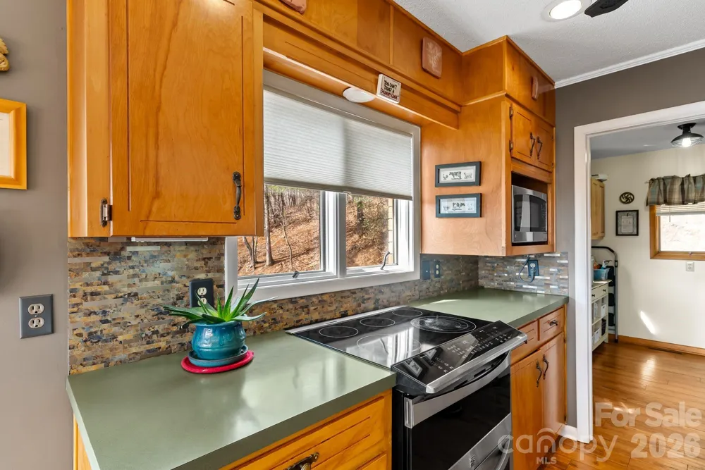 60 Little Creek Drive Canton, NC 28716