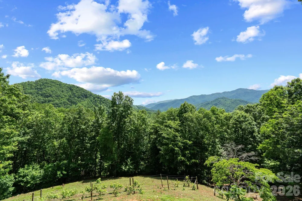 60 Little Creek Drive Canton, NC 28716