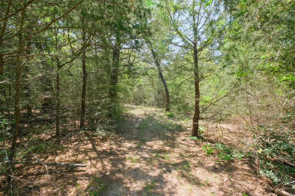 24718 Squirrel Road New Ulm, TX 78950