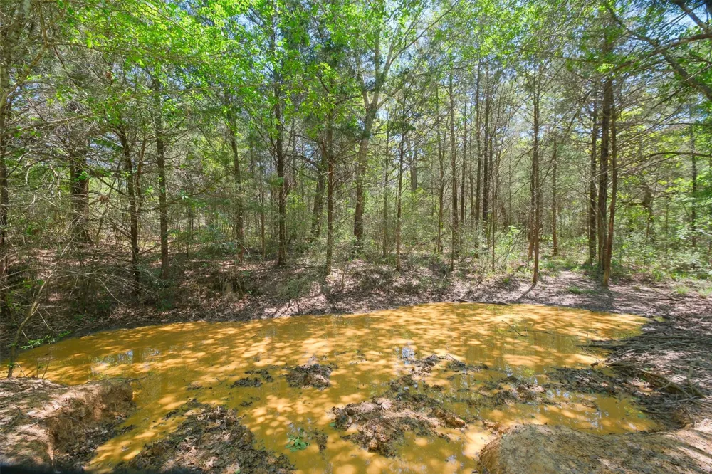 24718 Squirrel Road New Ulm, TX 78950