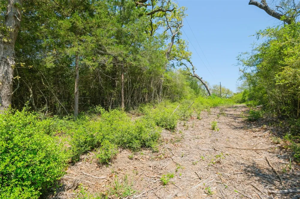 24718 Squirrel Road New Ulm, TX 78950