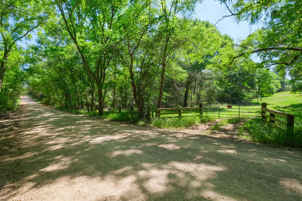 24718 Squirrel Road New Ulm, TX 78950