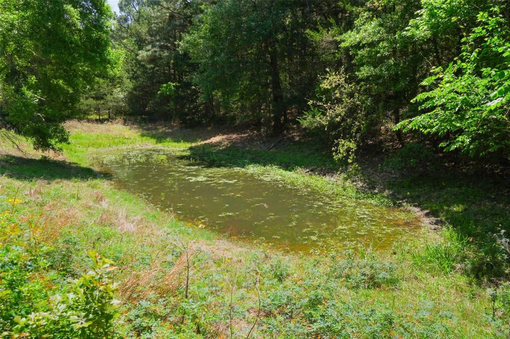 24718 Squirrel Road New Ulm, TX 78950