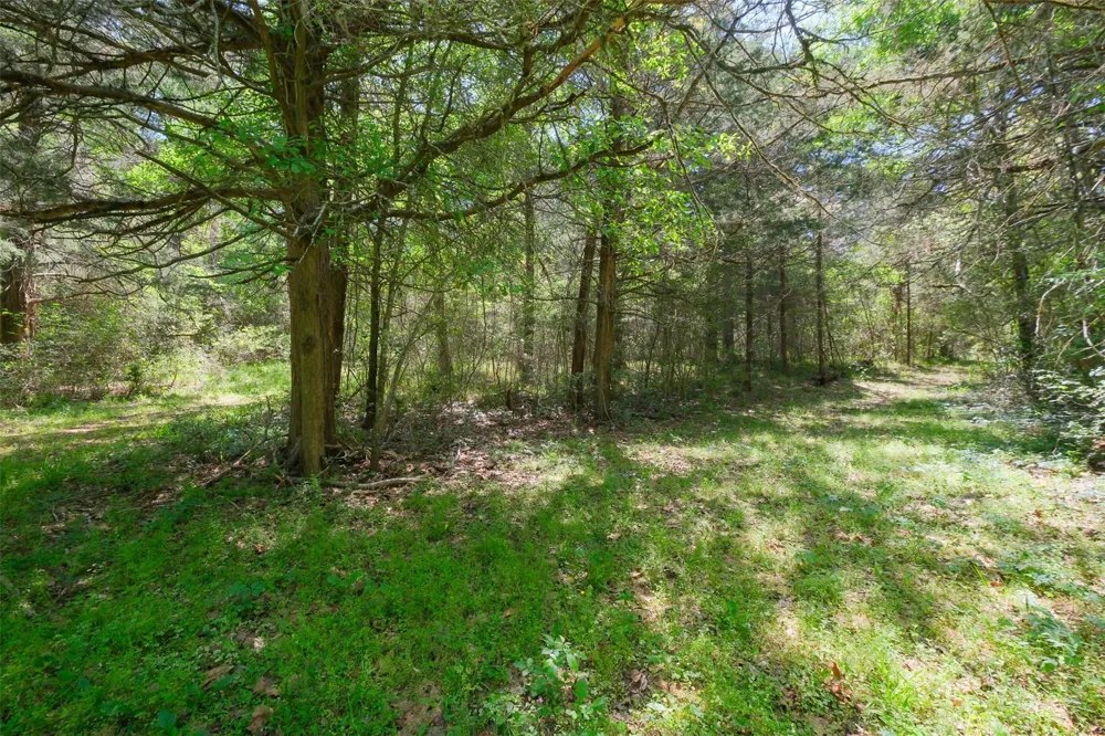 24718 Squirrel Road New Ulm, TX 78950
