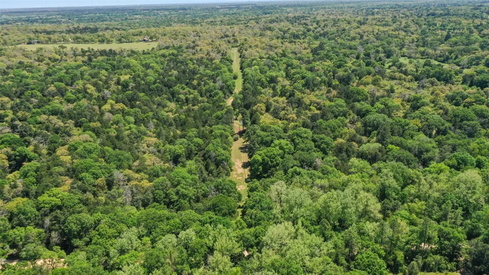 24718 Squirrel Road New Ulm, TX 78950