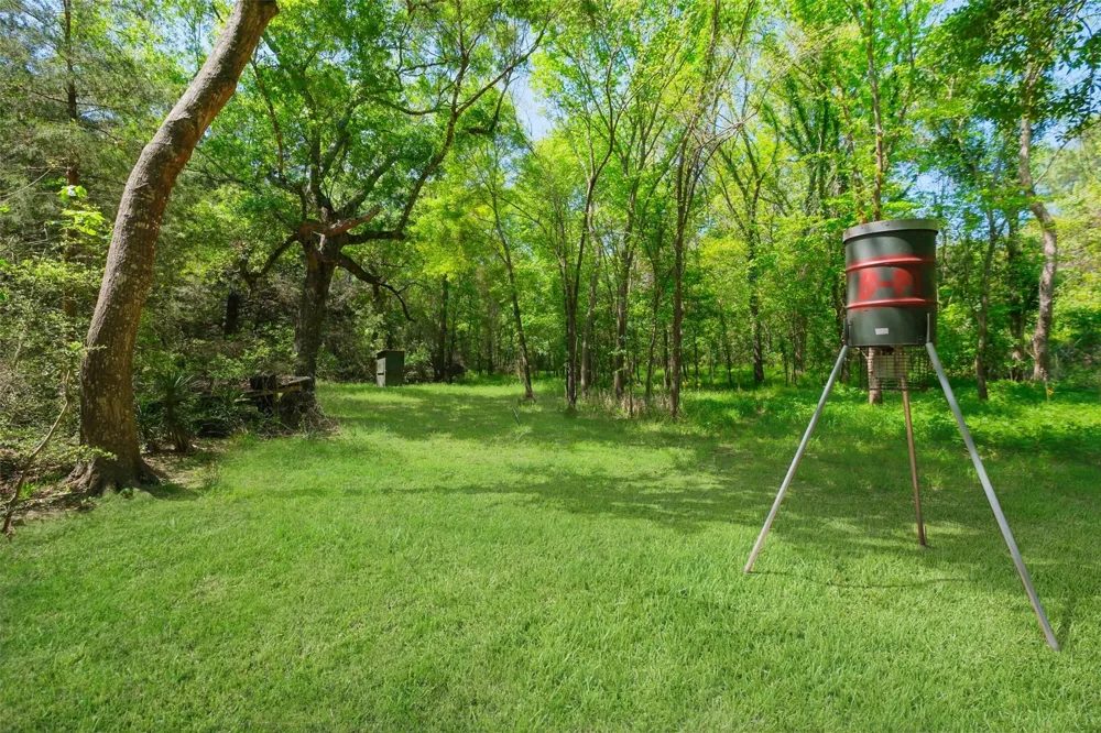 24718 Squirrel Road New Ulm, TX 78950