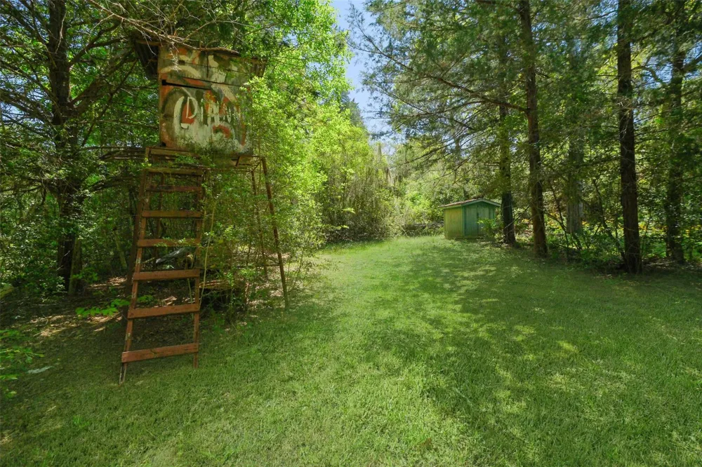 24718 Squirrel Road New Ulm, TX 78950