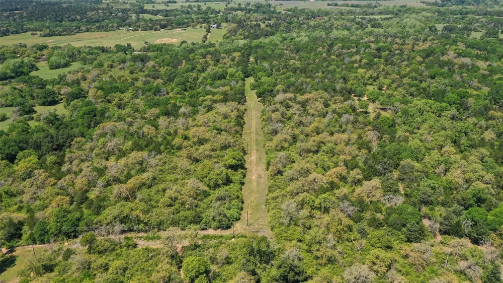 24718 Squirrel Road New Ulm, TX 78950
