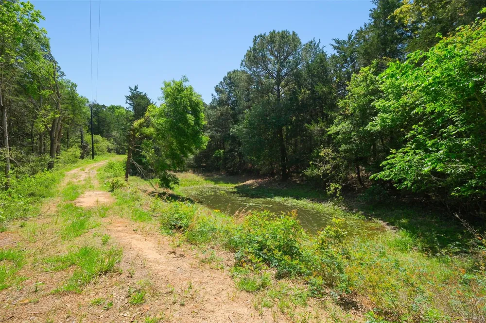 24718 Squirrel Road New Ulm, TX 78950