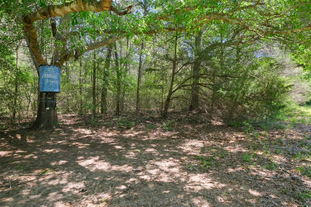 24718 Squirrel Road New Ulm, TX 78950