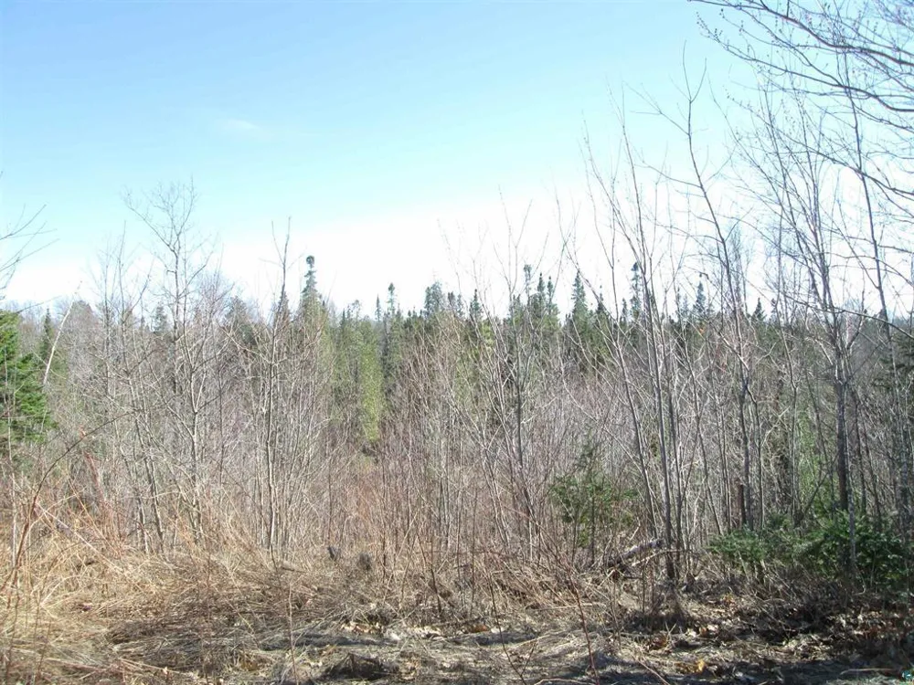 Lot 1 County Rd L South Range, WI 54874