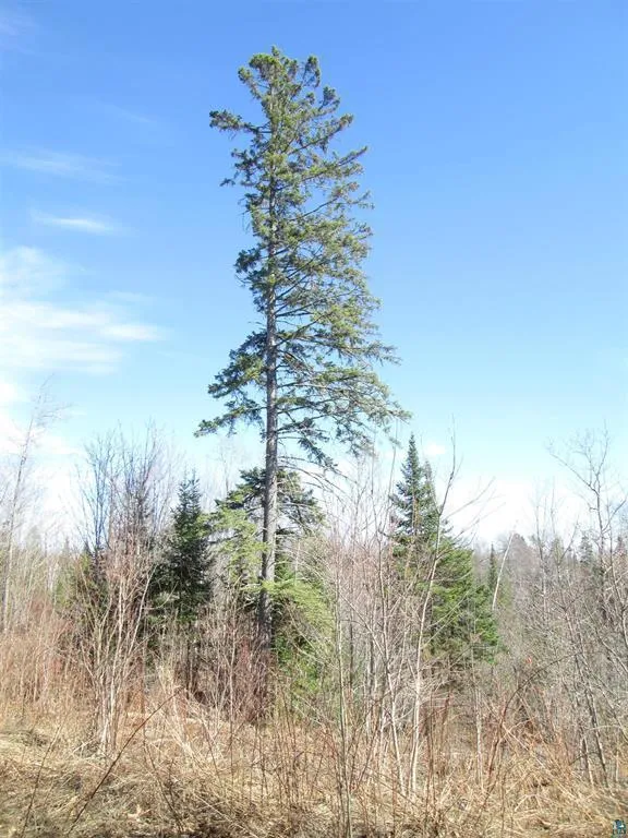 Lot 1 County Rd L South Range, WI 54874