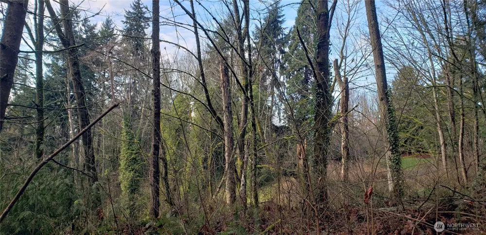 26 XX SW 308th Street Federal Way, WA 98023