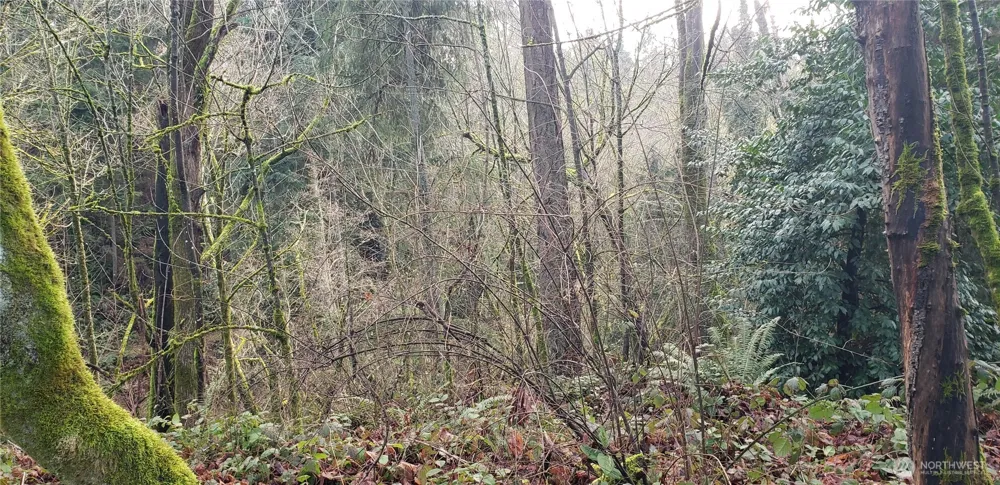 26 XX SW 308th Street Federal Way, WA 98023
