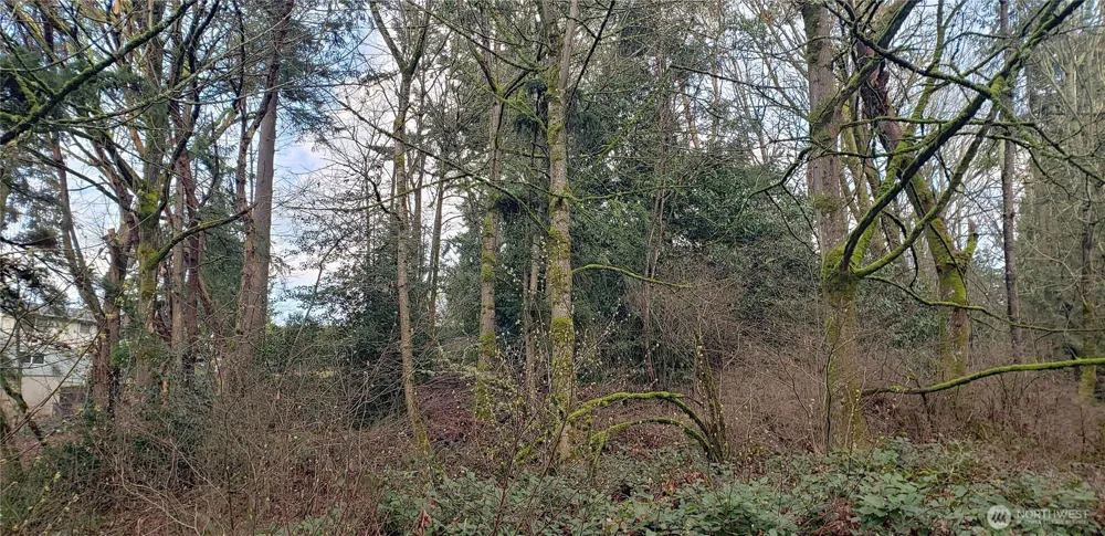 26 XX SW 308th Street Federal Way, WA 98023