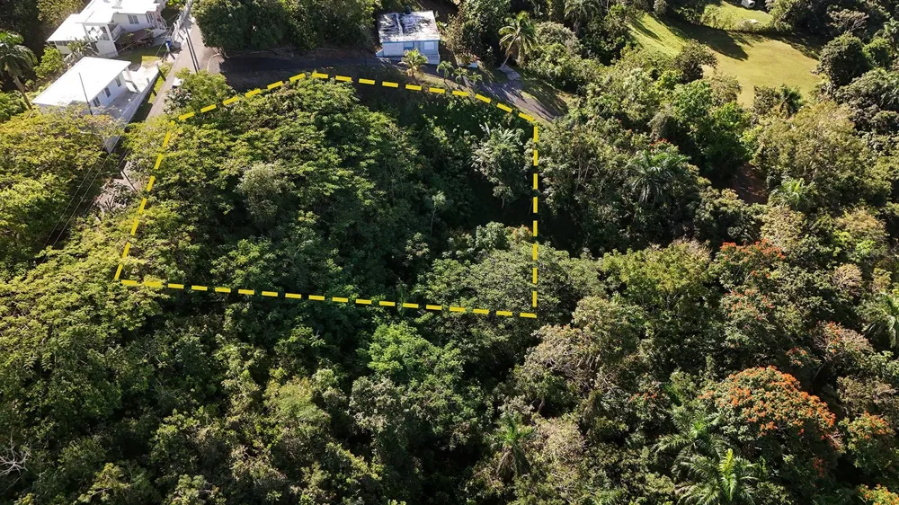 BO. CRUCES CARR 414 KM. HM. 0.5 Rincon, PR 00677