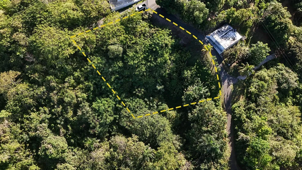 BO. CRUCES CARR 414 KM. HM. 0.5 Rincon, PR 00677