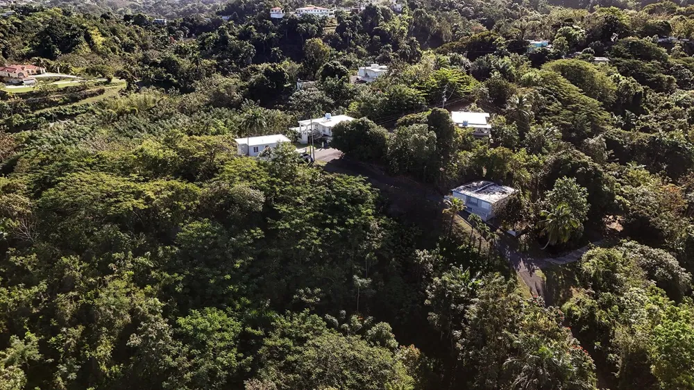 BO. CRUCES CARR 414 KM. HM. 0.5 Rincon, PR 00677