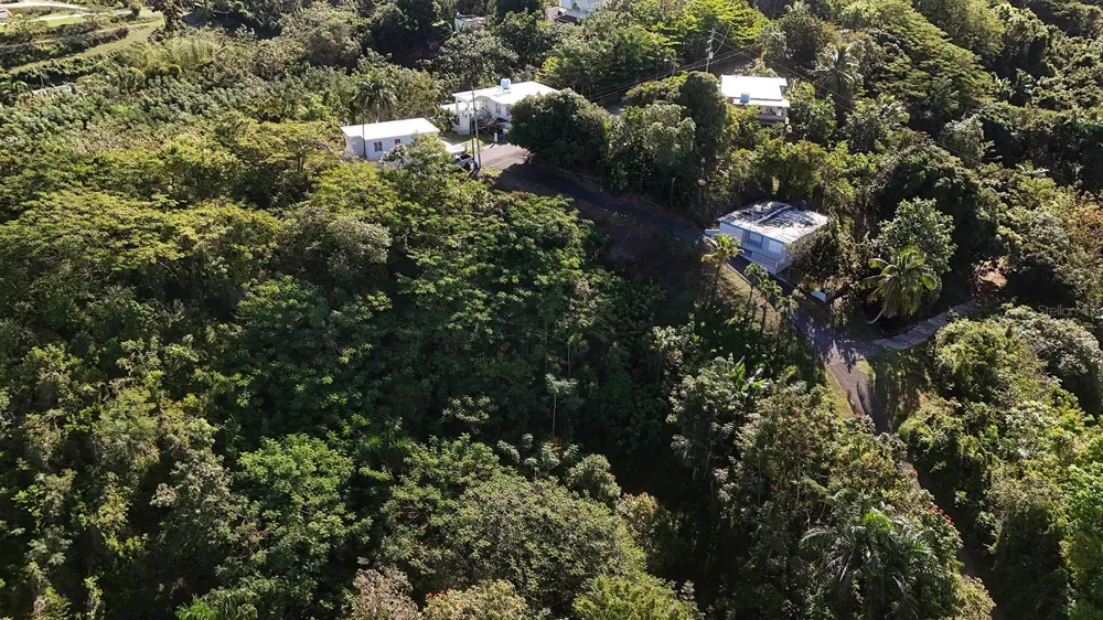 BO. CRUCES CARR 414 KM. HM. 0.5 Rincon, PR 00677