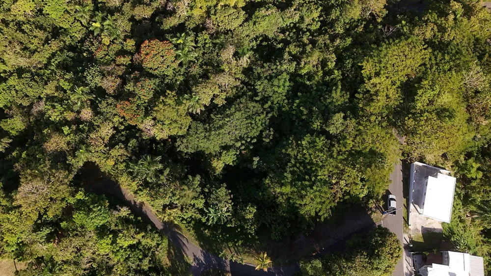 BO. CRUCES CARR 414 KM. HM. 0.5 Rincon, PR 00677